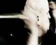 Steel Attack "Diabolic Symphony"