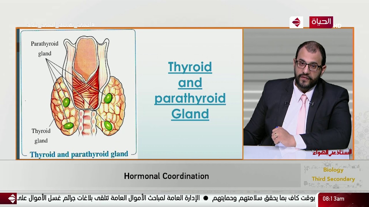 أستاذ على الهواء - مراجعة ( الأحياء لغات - الفيزياء - علم نفس واجتماع ) 13 مايو 2020 - الحلقة كاملة