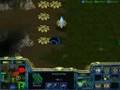 Starcraft: 7 vs 1 Hard Zerg