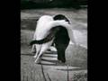 Leona Lewis - footprints in the sand