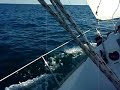 navegando frente a la marina de palamós en el diablillo