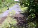 Dream analysis roads - Dream Interpretation