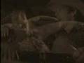  - MovieZen Video