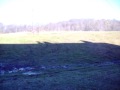 pe 175 rippin around