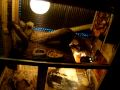 Smaug and Ohtars bearded dragon lair dubstep video tour.mpg