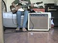 ENGL amp and Gibson Firebird VII ENGL amp and Gibson Firebird VII