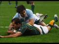 Rugby World Cup 2007 Springboks Tribute