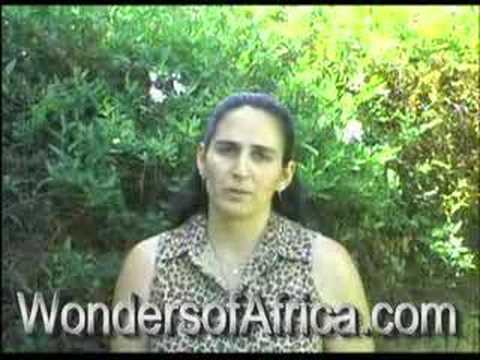Wonders of Africa Safaris