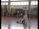 Dimostrazione tenuta ad One di Fonte nel 2002