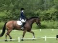 Raleigh dressage at Stonleigh Burnham HT