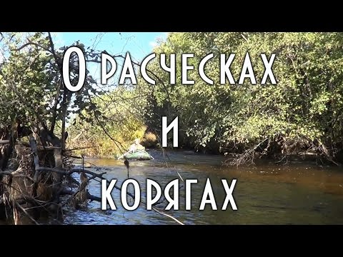 2Yy-ONShApU