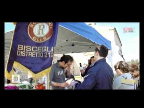 Bisceglie: Rotaract