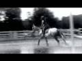 videos de 6 yrs 16 hh Grey Welsh X Mayfield