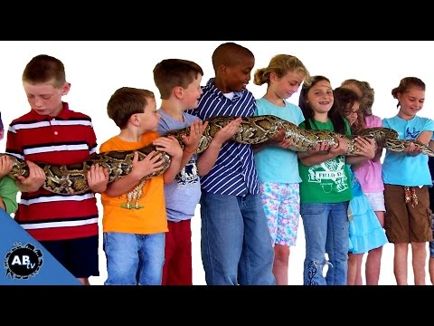 YouTube reptile video