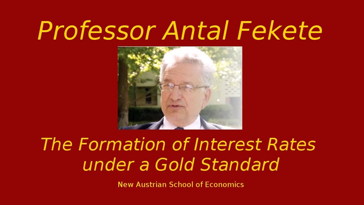 Part 44 - Antal Fekete - Time Preference versus Productivity of Capital II