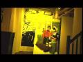 Heineken Experience Sneak