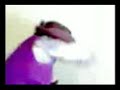 O C�RCULO CLOWN