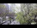 C61動画3