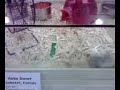 hyper dwarf hamster