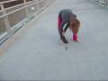 bridge!.wmv