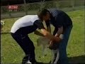 Farma ovaca francuske rase texel u resavskom selu Sedlaru u opstini Svilajnac, u Srbiji.