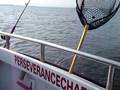 videos de perseverance charter fishing
