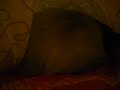 Looking for Casper