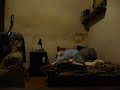 despertandolo a alesi