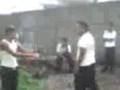 peleas callejeras (huevo vs mamado)