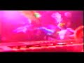 warp-9 whammer slammer waakzaamheid