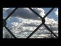 vx2100 Nature Footage