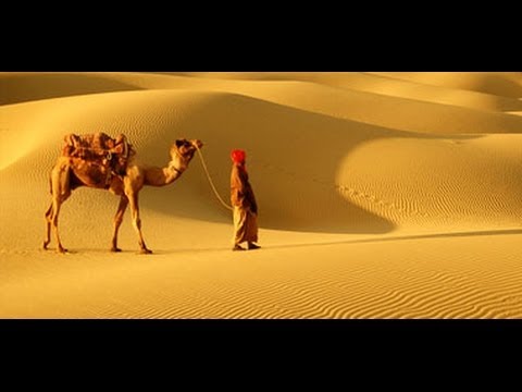 how to plan a trip to delhi agra & jaipur
