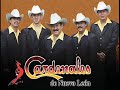 Cardenales de Nuevo Leon-Necesito Decirtelo