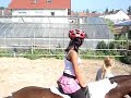 Wendy Clases de equitacion Caballo La Bruja
