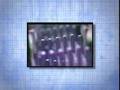 Machines Italia - Turning Innovation Into Productivity