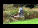 Maine Golf Trail