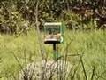 association ain chock d'ornithologie
