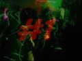 reggeaton mix dj zero mix