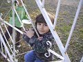 reda