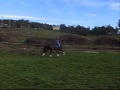 Jaq #2