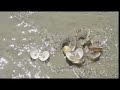 Oil Lift zero footprint technology
