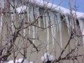 ifrane a la niege.ifrane have heavy snow