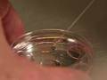In Vitro Fertilization (IVF) - Atlanta Georgia Specialists
