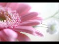 Antonio Vivaldi: Nisi Dominus [Psalm 126] for soprano, 2 altos, viola d'amore in A major (RV 803)