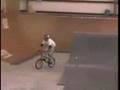 Dave Mirra, ripping a skatepark