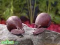 Sesame Street: Telly's Aquarium