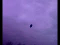 me n cottie flying big buzz power kite
