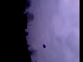 me n cottie flying big buzz power kite