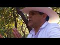 PANCHO BARRAZA PERMISO