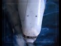 Vega